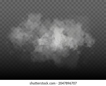 Fog or smoke isolated transparent special effect. White vector cloudiness, mist or smog background. Vector illustration