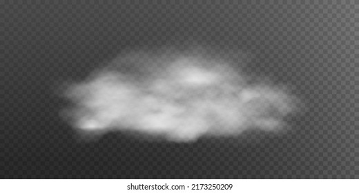 Fog or smoke isolated transparent special effect. White vector background of cloudiness, fog or smog. Vector illustration
