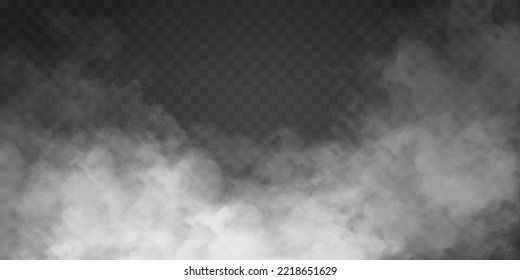 Fog or smoke isolated transparent special effect. White vector cloudiness, mist or smog background. Vector illustration