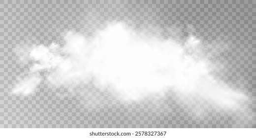 Fog or smoke isolated transparent special effect. White vector cloudiness, mist or smog background. Vector illustration	