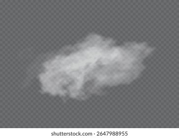 Nevoeiro ou fumaça efeito especial transparente isolado. Vetor branco turvo, névoa ou fundo de neblina. Ilustração vetorial
