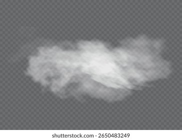 Nevoeiro ou fumaça efeito especial transparente isolado. Vetor branco turvo, névoa ou fundo de neblina. Ilustração vetorial