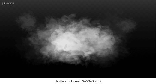 Nevoeiro ou fumaça efeito especial transparente isolado. Vetor branco turvo, névoa ou fundo de neblina. Ilustração vetorial