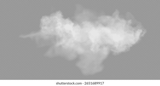 Nevoeiro ou fumaça efeito especial transparente isolado. Vetor branco turvo, névoa ou fundo de neblina. Ilustração vetorial