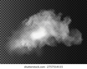 Fog or smoke isolated transparent special effect. White vector cloudiness, mist or smog background.