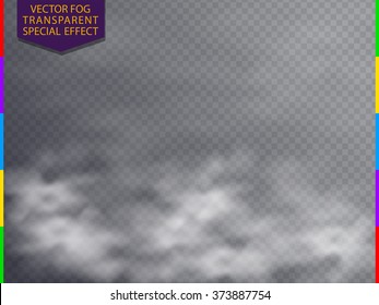 Fog or smoke isolated transparent special effect. White vector cloudiness, mist or smog background. Magic haze, steam illustration.