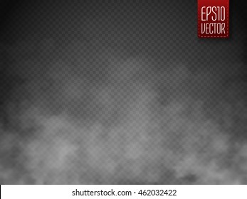 Fog or smoke isolated transparent special effect. White vector cloudiness, mist or smog background. Vector illustration