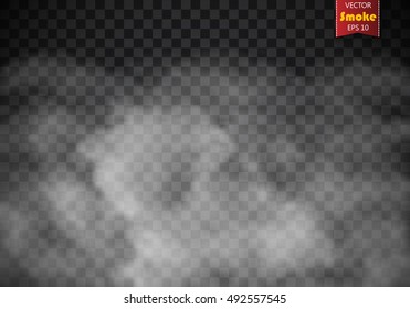 Fog or smoke isolated transparent special effect. White vector cloudiness, mist or smog background. Vector illustration