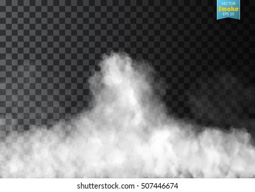 Fog or smoke isolated transparent special effect. White vector cloudiness, mist or smog background. Vector illustration