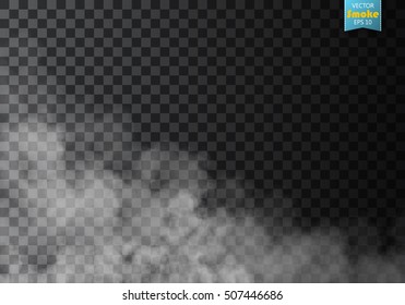 Fog or smoke isolated transparent special effect. White vector cloudiness, mist or smog background. Vector illustration