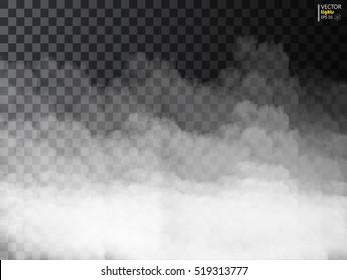 Fog or smoke isolated transparent special effect. White vector cloudiness, mist or smog background. Vector illustration