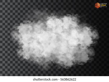 Fog or smoke isolated transparent special effect. White vector cloudiness, mist or smog background. Vector illustration