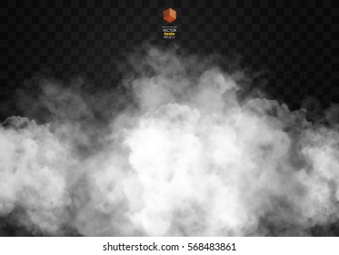 Fog or smoke isolated transparent special effect. White vector cloudiness, mist or smog background. Vector illustration
