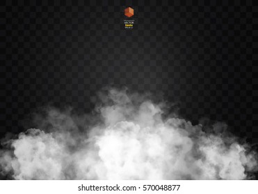 Fog or smoke isolated transparent special effect. White vector cloudiness, mist smog background. illustration