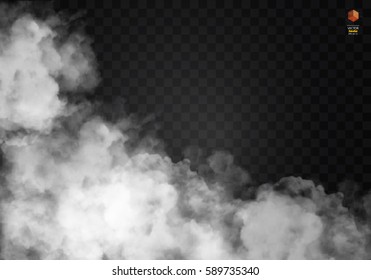 Fog Or Smoke Isolated Transparent Special Effect. White Vector Cloudiness, Mist Or Smog Background. Vector Illustration