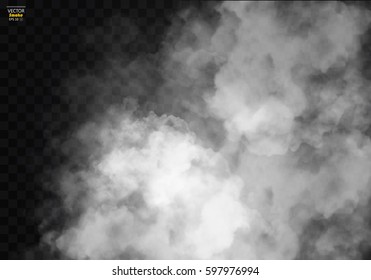 Fog or smoke isolated transparent special effect. White vector cloudiness, mist or smog background. Vector illustration