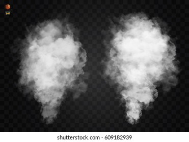 Fog or smoke isolated transparent special effect. White vector cloudiness, mist or smog background. Vector illustration