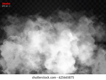 Fog or smoke isolated transparent special effect. White vector cloudiness, mist or smog background. Vector illustration