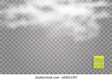 Fog or smoke isolated transparent special effect. White vector cloudiness, mist or smog background. Vector illustration