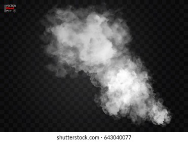 Fog or smoke isolated transparent special effect. White vector cloudiness, mist or smog background. Vector illustration