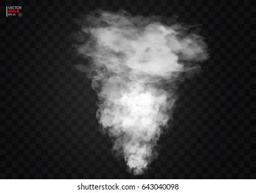 Fog or smoke isolated transparent special effect. White vector cloudiness, mist or smog background. Vector illustration