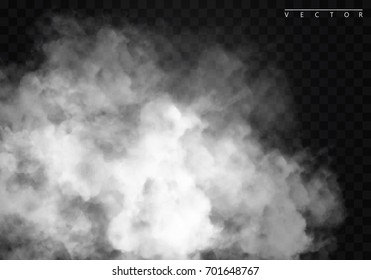 Fog or smoke isolated transparent special effect. White vector cloudiness, mist or smog background. Vector illustration