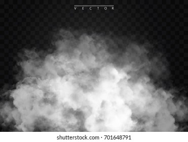 Fog or smoke isolated transparent special effect. White vector cloudiness, mist or smog background. Vector illustration