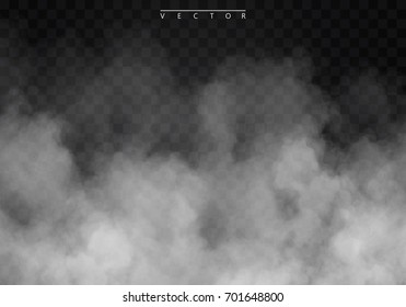 White Vector Cloudiness Mist Smog Background Stock Vector (Royalty Free ...