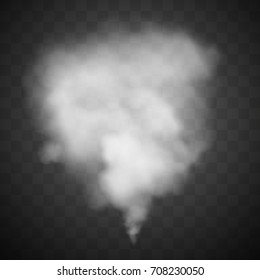 Fog or smoke isolated transparent special effect. Vector illustration