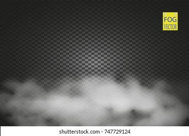 Fog or smoke isolated transparent special effect. White vector cloudiness, mist or smog background. Vector illustration