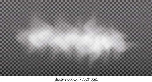 Fog or smoke isolated transparent special effect. Beautiful white vector cloudiness, mist background. Vector illustration.