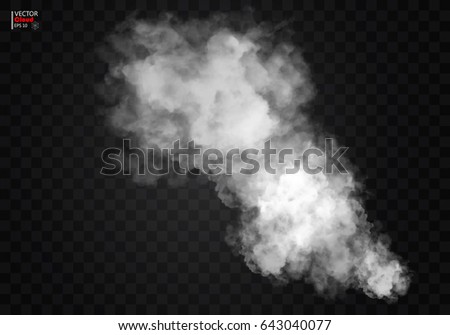 Fog or smoke isolated transparent special effect. White vector cloudiness, mist or smog background. Vector illustration
