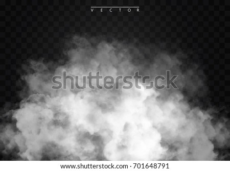 Fog or smoke isolated transparent special effect. White vector cloudiness, mist or smog background. Vector illustration