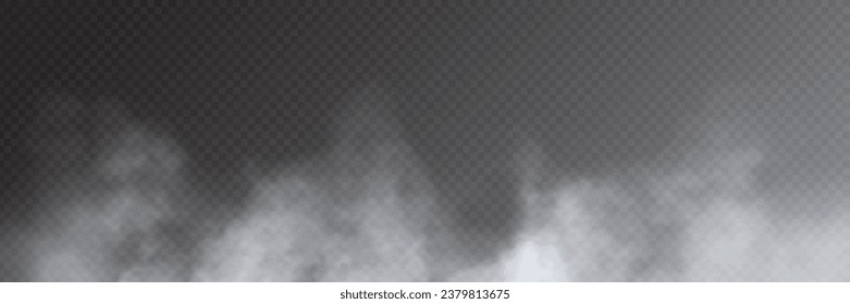 Fog, smoke on transparent background, panoramic view, vector design