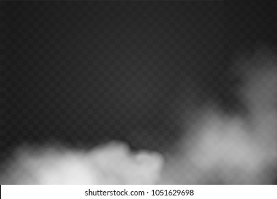Fog or smoke special effect. White cloudiness, mist or smog, explosion background isolated on transparent background. Vector illustration