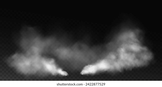 Fog or smoke, white smog clouds on floor, isolated transparent special effect. Vector illustration, morning fog over land or water surface, magic haze.	