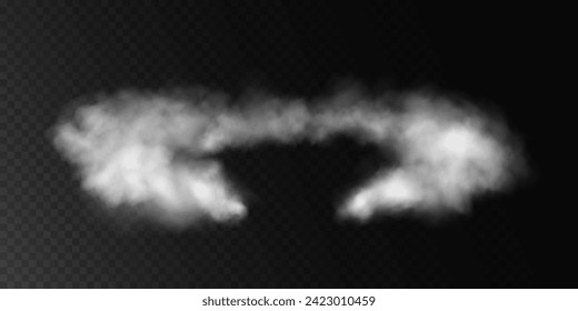 Fog or smoke, white smog clouds on floor, isolated transparent special effect. Vector illustration, morning fog over land or water surface, magic haze.	