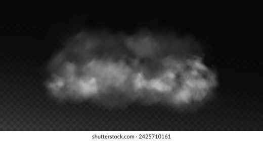 Fog or smoke, white smog clouds on floor, isolated transparent special effect. Vector illustration, morning fog over land or water surface, magic haze.	