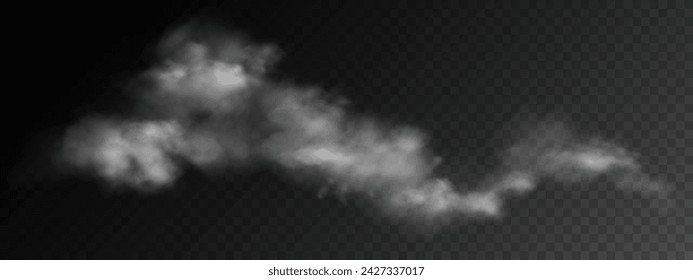 Fog or smoke, white smog clouds on floor, isolated transparent special effect. Vector illustration, morning fog over land or water surface, magic haze.	