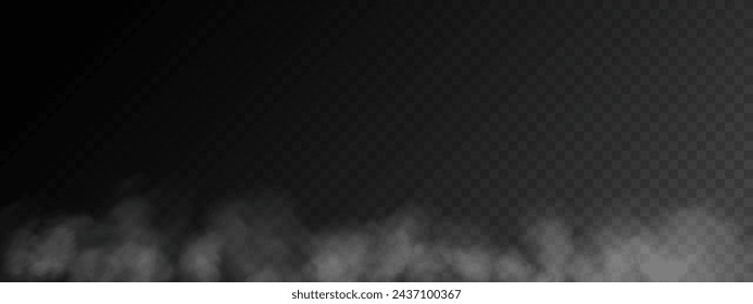 Fog or smoke, white smog clouds on floor, isolated transparent special effect. Vector illustration, morning fog over land or water surface, magic haze.	