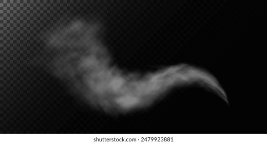 Fog or smoke, white smog clouds on floor, isolated transparent special effect. Vector illustration, morning fog over land or water surface, magic haze.	