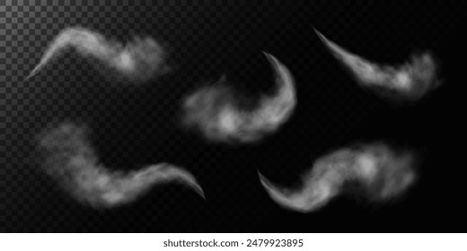 Fog or smoke, white smog clouds on floor, isolated transparent special effect. Vector illustration, morning fog over land or water surface, magic haze.	