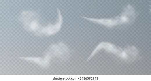 Fog or smoke, white smog clouds on floor, isolated transparent special effect. Vector illustration, morning fog over land or water surface, magic haze.	