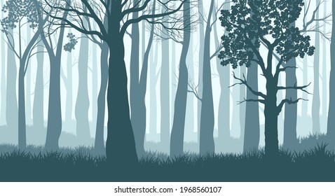 Foggy forest. Silhouettes of trees in the misty forest. Dark Blue landscape. Vector