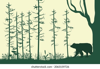 Bosque de niebla, siluetas de árboles y animales ilustraciones vectoriales