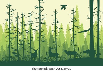 Bosque de niebla, siluetas de árboles y animales ilustraciones vectoriales