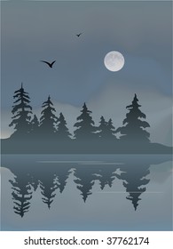 Foggy Lake with Moon and birds.