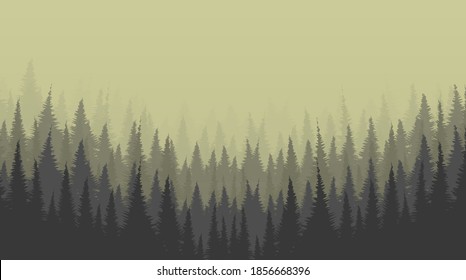 Foggy Pine Forest background,Lonely Scene concept design,free space for text in put,vector