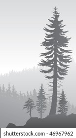foggy valley