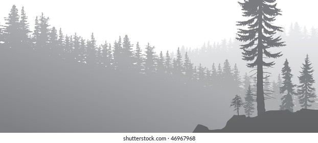 foggy valley